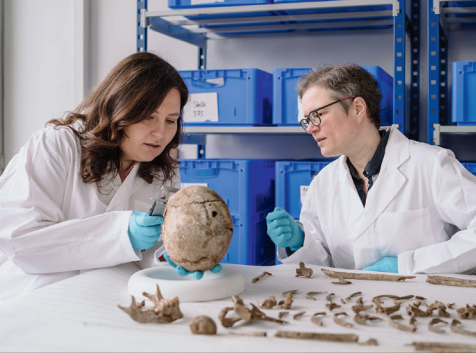 Zwei Bioarchäologinnen arbeiten an einem Skelett