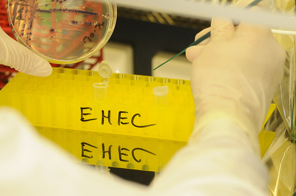 EHEC-Probe EHEC-Probe