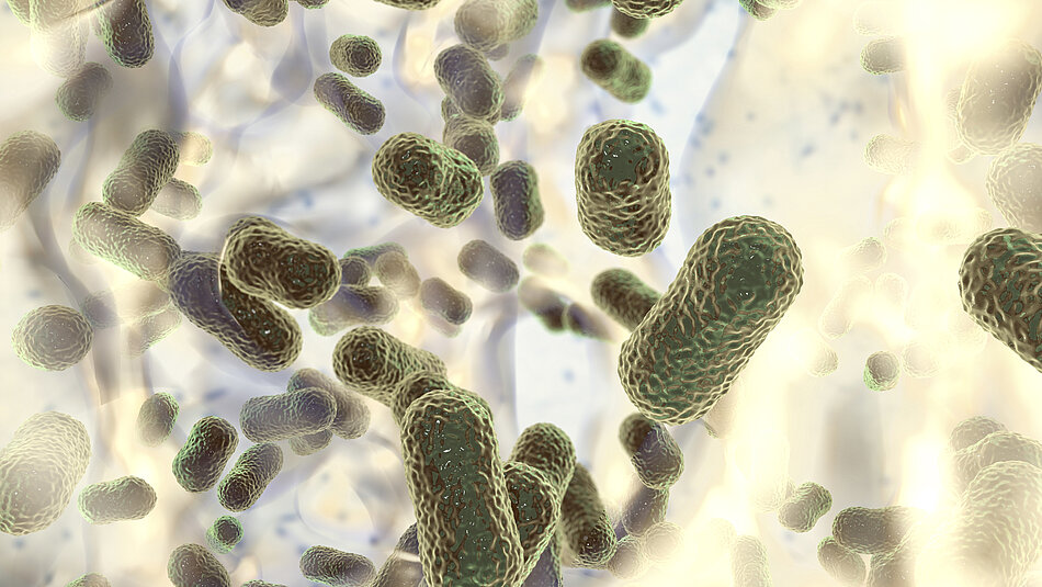 Bakterien und Infektionskrankheiten