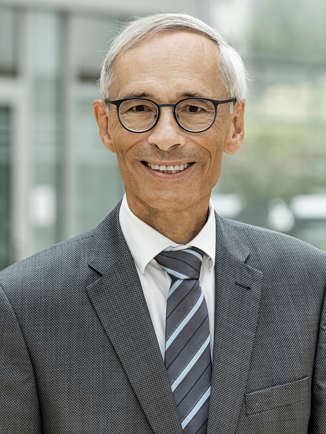 Professor Dr. Bernd Bertram