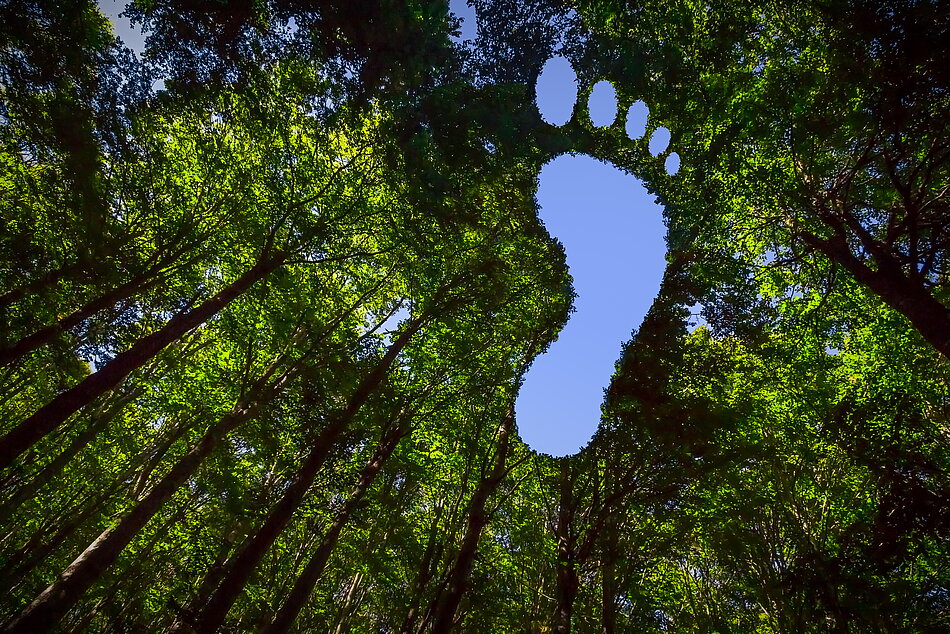 Ökologischer Fußabdruck dargestellt als Fußabdruck auf Baumwipfeln 