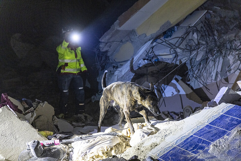 Ein Rettungshund sucht in den Trümmern nach Verschütteten