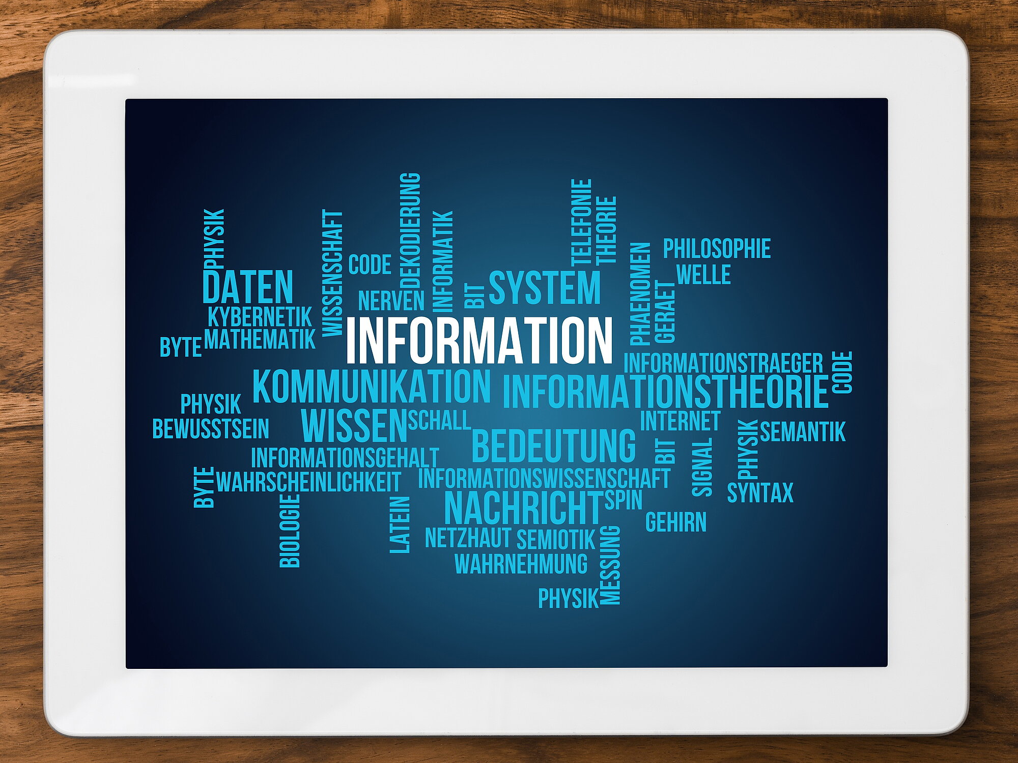 Geflecht aus Information, Kommunikation, Wissen, Daten etc.