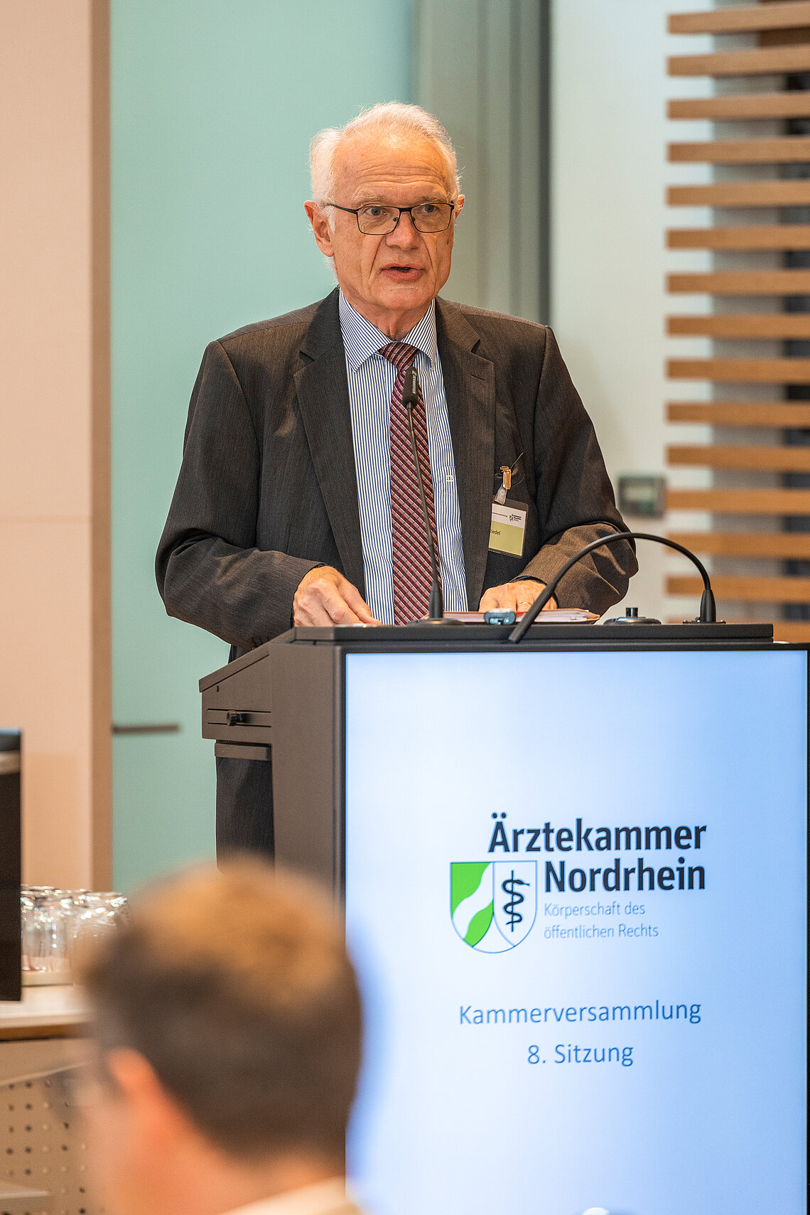 Johannes Riedel, Vorsitzender der Gutachterkommission auf der Kammerversammlung im November 2022