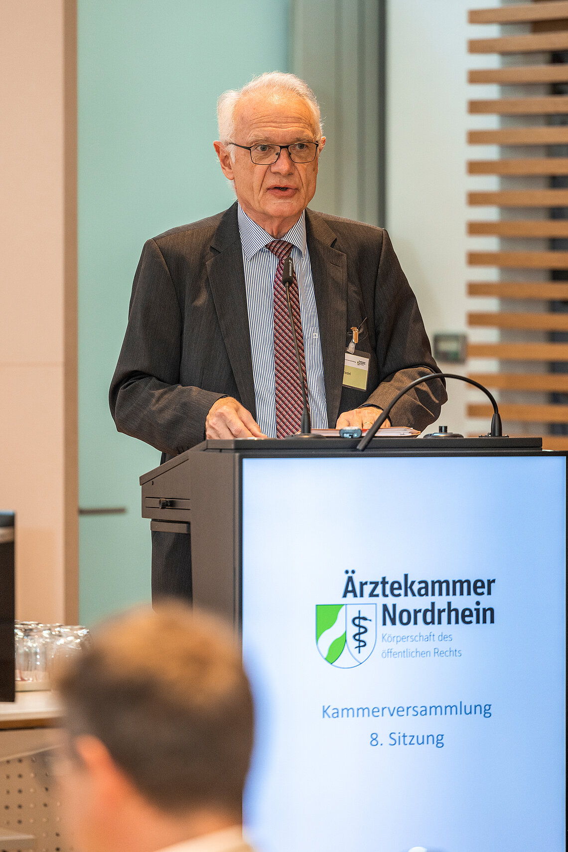 Johannes Riedel Johannes Riedel, Vorsitzender der Gutachterkommission auf der Kammerversammlung im November 2022
