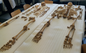 Skelette aus der Römerzeit Skelette aus der Römerzeit