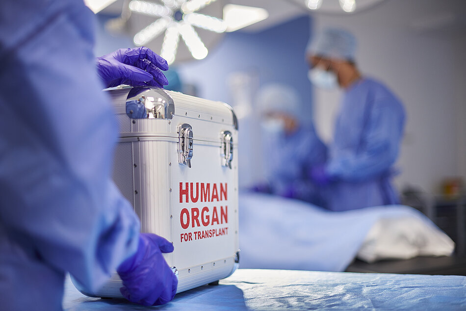 Anlieferung eines Spenderorgans im Operationssaal