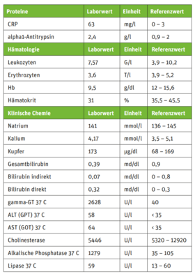 Tabelle zur Kasuistik Tabelle zur Kasuistik