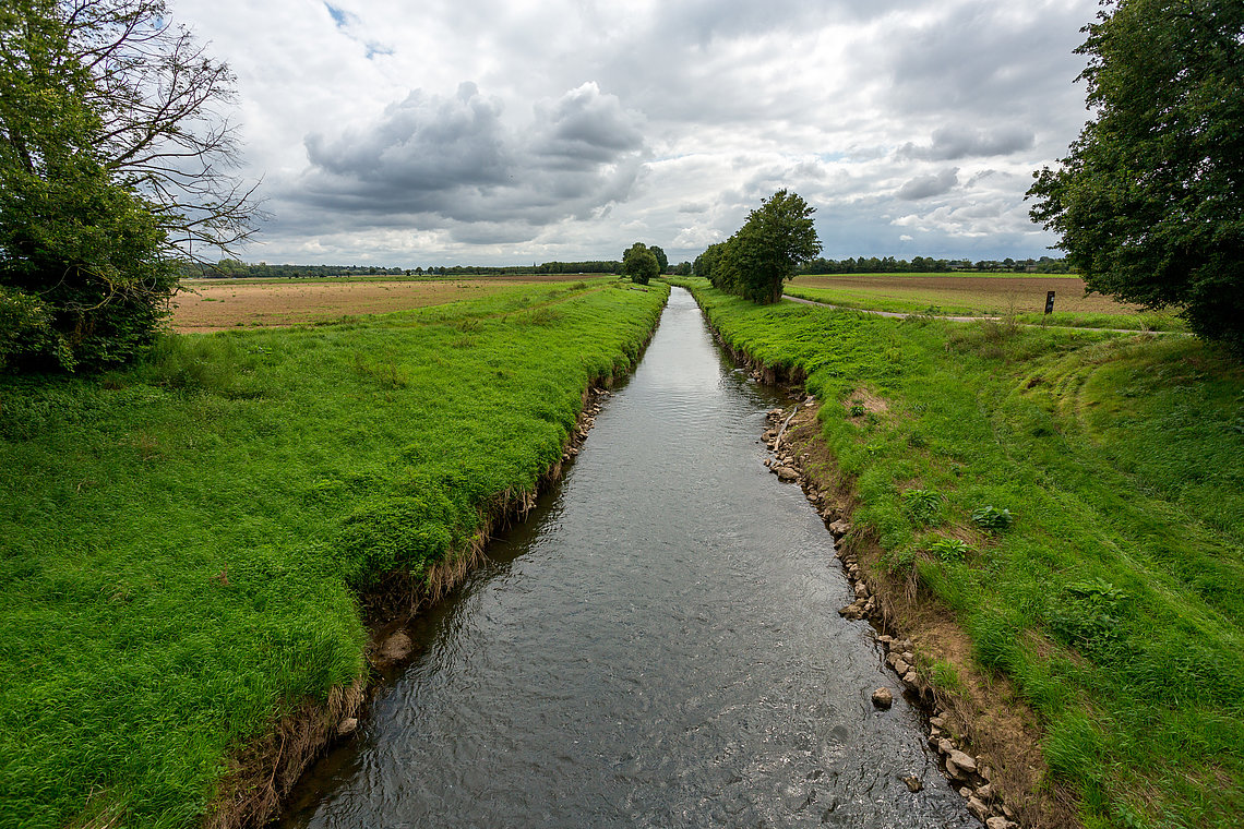 erftstadt-flut-erft.jpg Die Erft bei Liblar