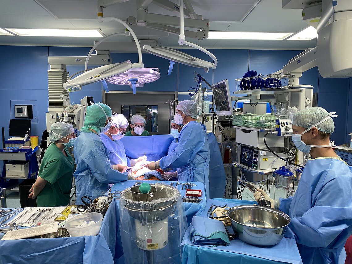 organtransplantation.jpg Ärzteteam transplantiert eine Lunge