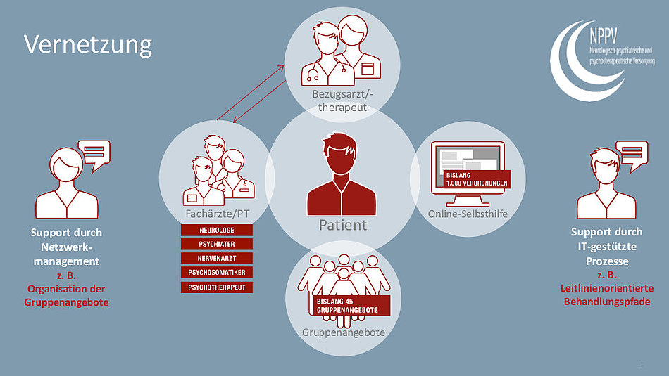 Schaubild Vernetzung NPPV