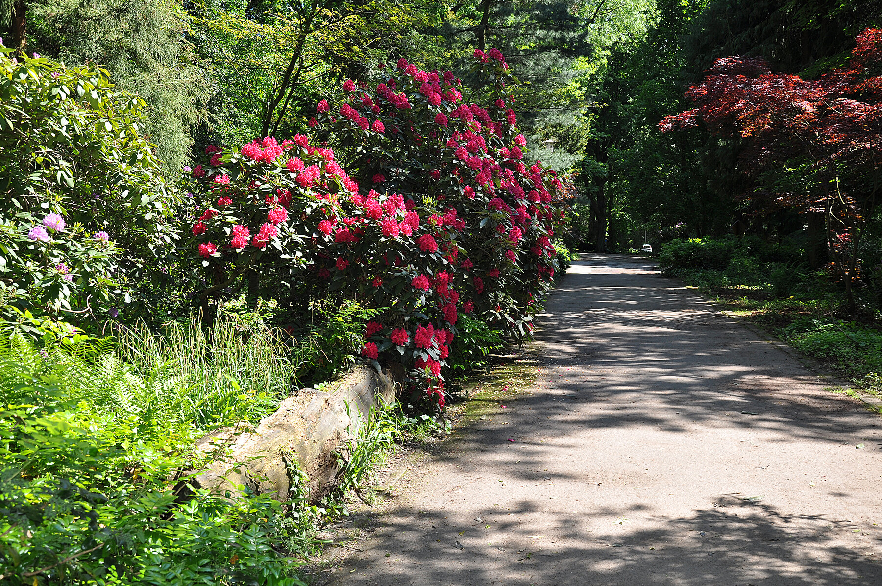 Bunter Garten in Mönchengladbach