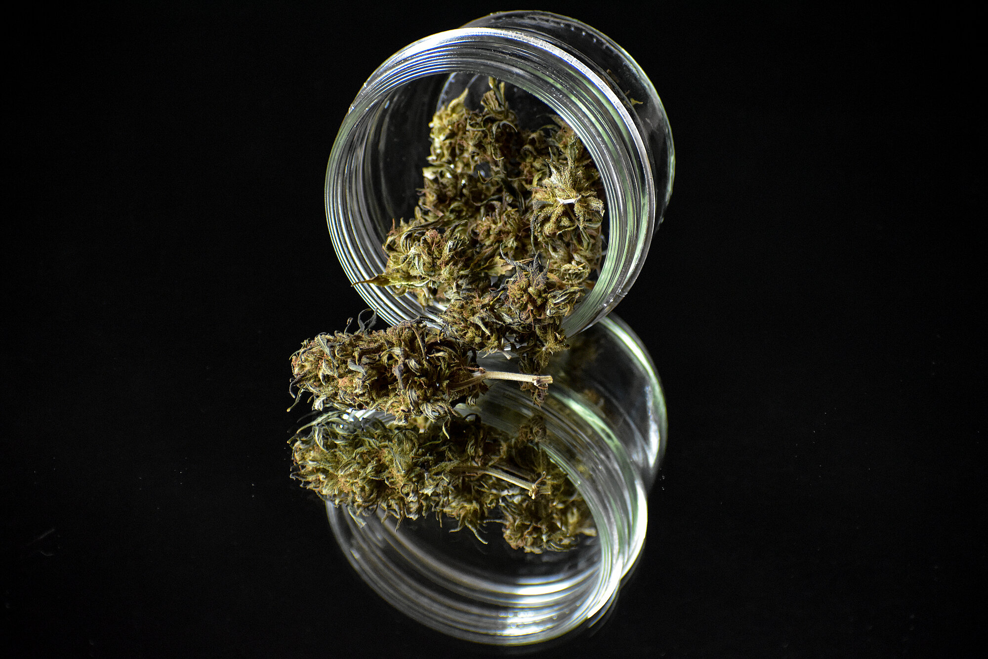 Cannabis im Glas 