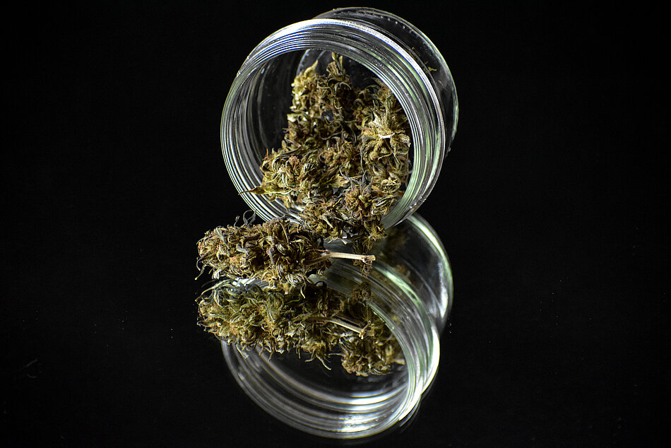 Cannabis im Glas Cannabis im Glas