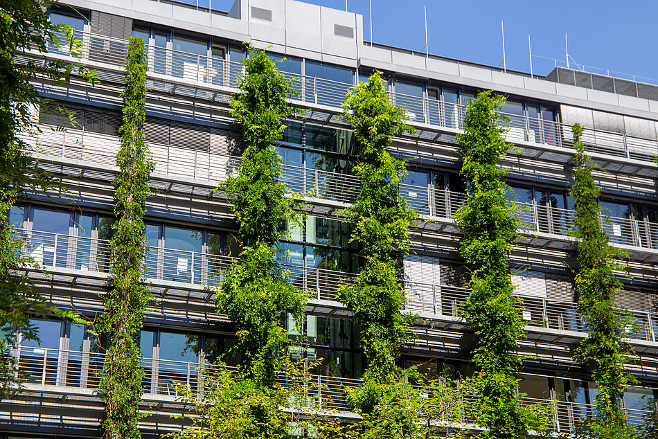 Grüne Fassade eines Hauses