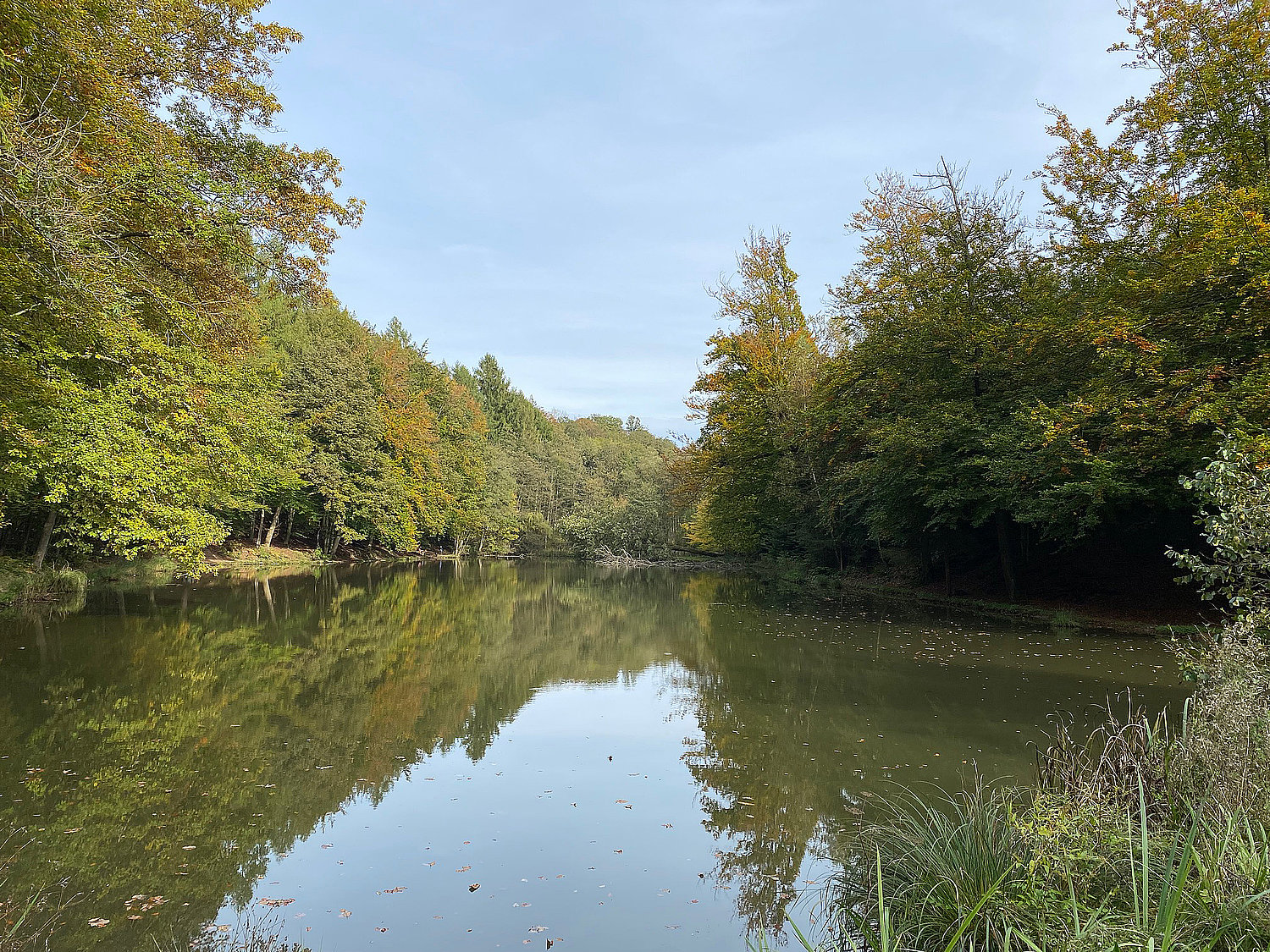 Herbst am Kadettenweiher Bensberg Herbst am Kadettenweiher Bensberg