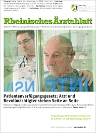 RAE Ausgabe 3/2011