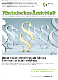 RAE Ausgabe 1/2013