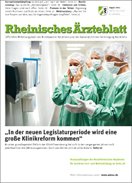 RAE Ausgabe 8/2013