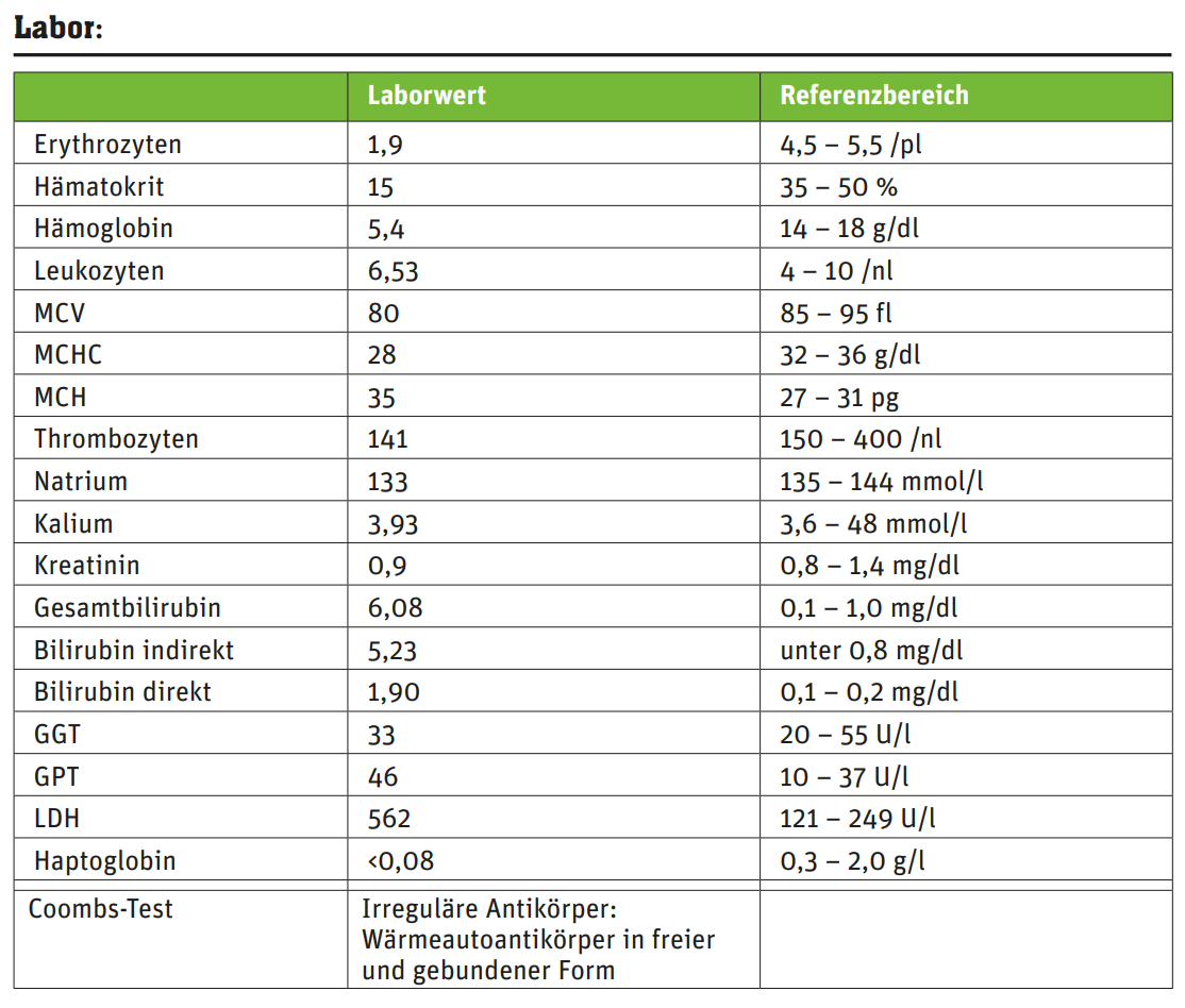 Tabelle der Laborwerte