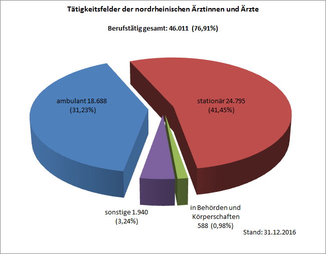 Berufsfelder der &#xC4;rzteinnen und &#xC4;rzte in Nordrhein 2016