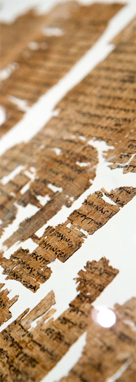 papyrus-275.jpg