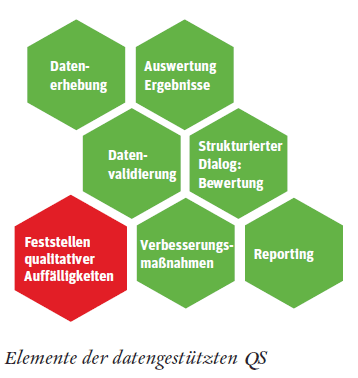 Grafik Elemente der datengestützten Qualitätssicherung qs-elemente-2018-300.gif